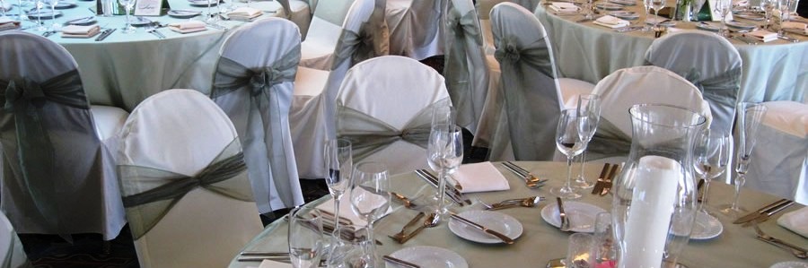 Ivory Chair cover with sage sash and overlay